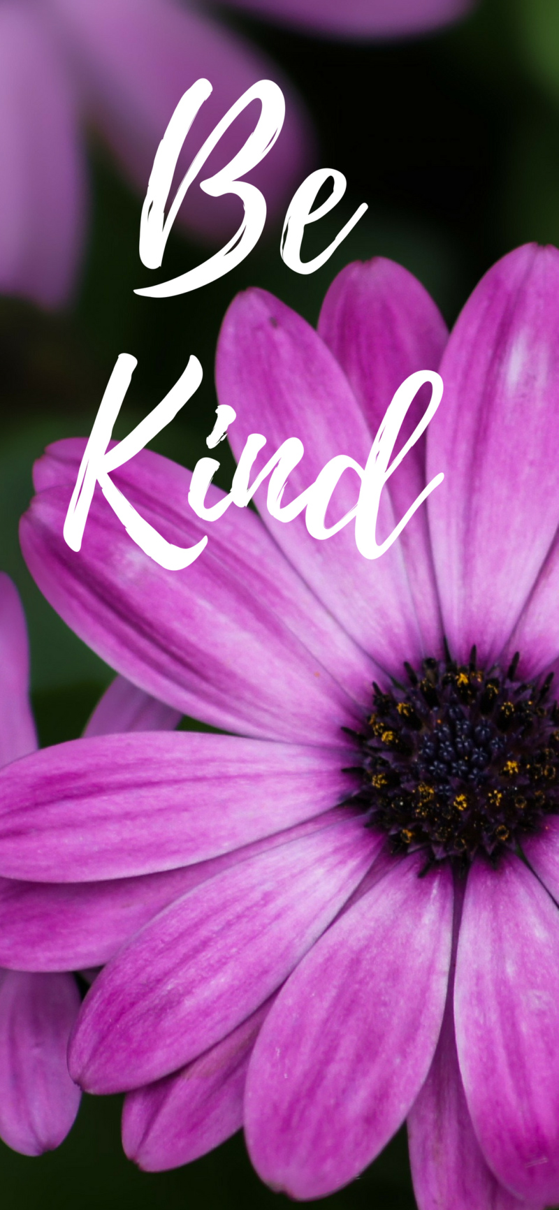 Be Kind Free Desktop Wallpaper - Keeping It Real In Jersey