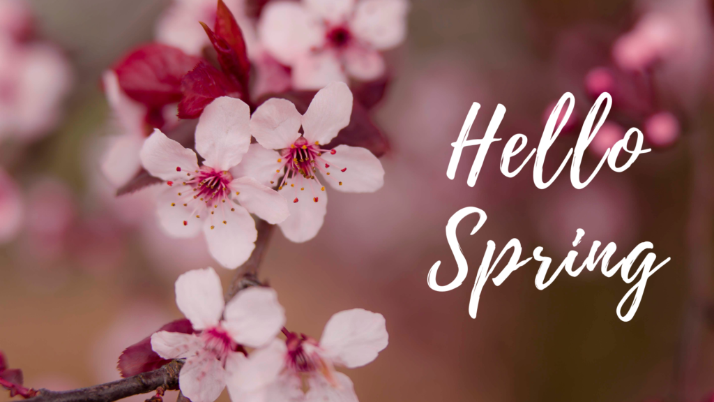 Hello Spring Free Desktop Wallpaper #desktopwallpaper #spring 