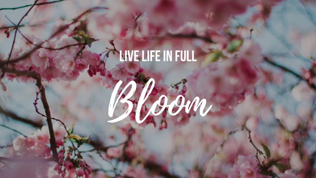 Live Life in Full Bloom Free Desktop Wallpaper #desktopwallpaper #spring 